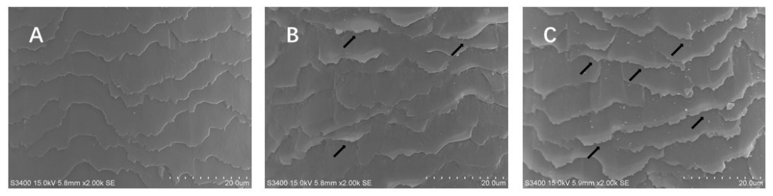 體外真發,頭發熱損傷,模型研究,CIRS,功效評價,技術實踐