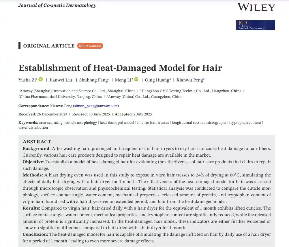 體外真發,頭發熱損傷,模型研究,CIRS,功效評價,技術實踐