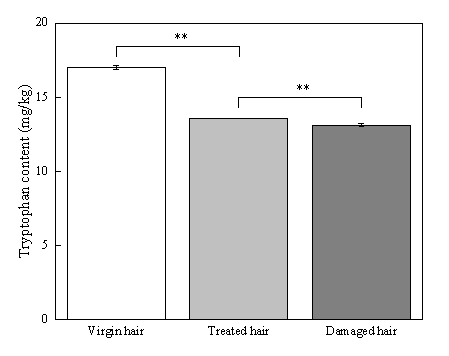 體外真發,頭發熱損傷,模型研究,CIRS,功效評價,技術實踐