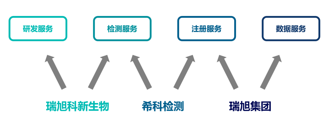 瑞旭科新生物,化妝品功效,日化品,瑞旭集團,?？茩z測,注冊備案