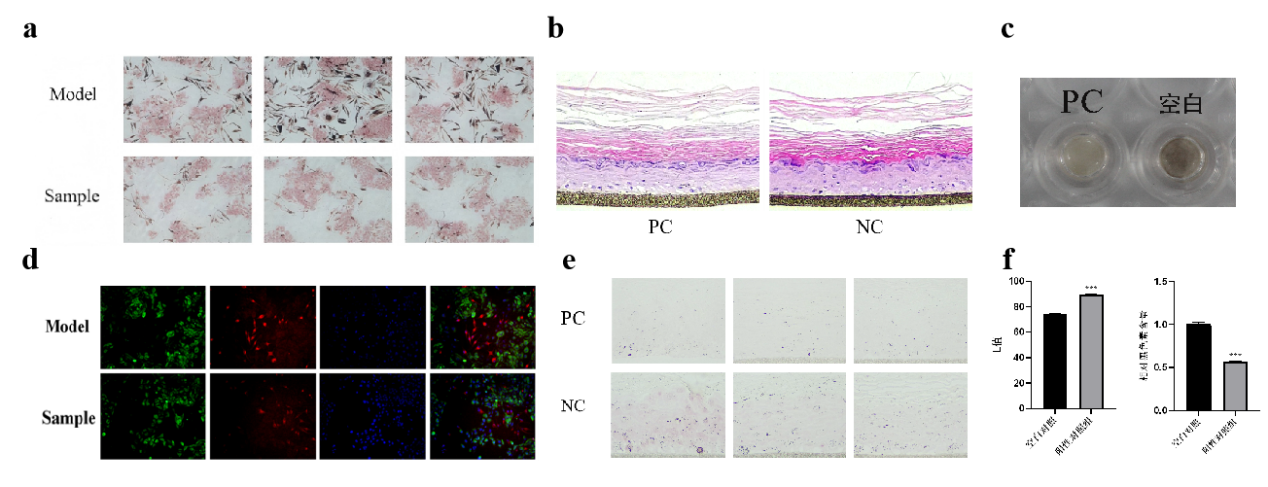 PDRN,再生醫(yī)學(xué),護(hù)膚前沿,皮膚微生態(tài),安全性評(píng)估