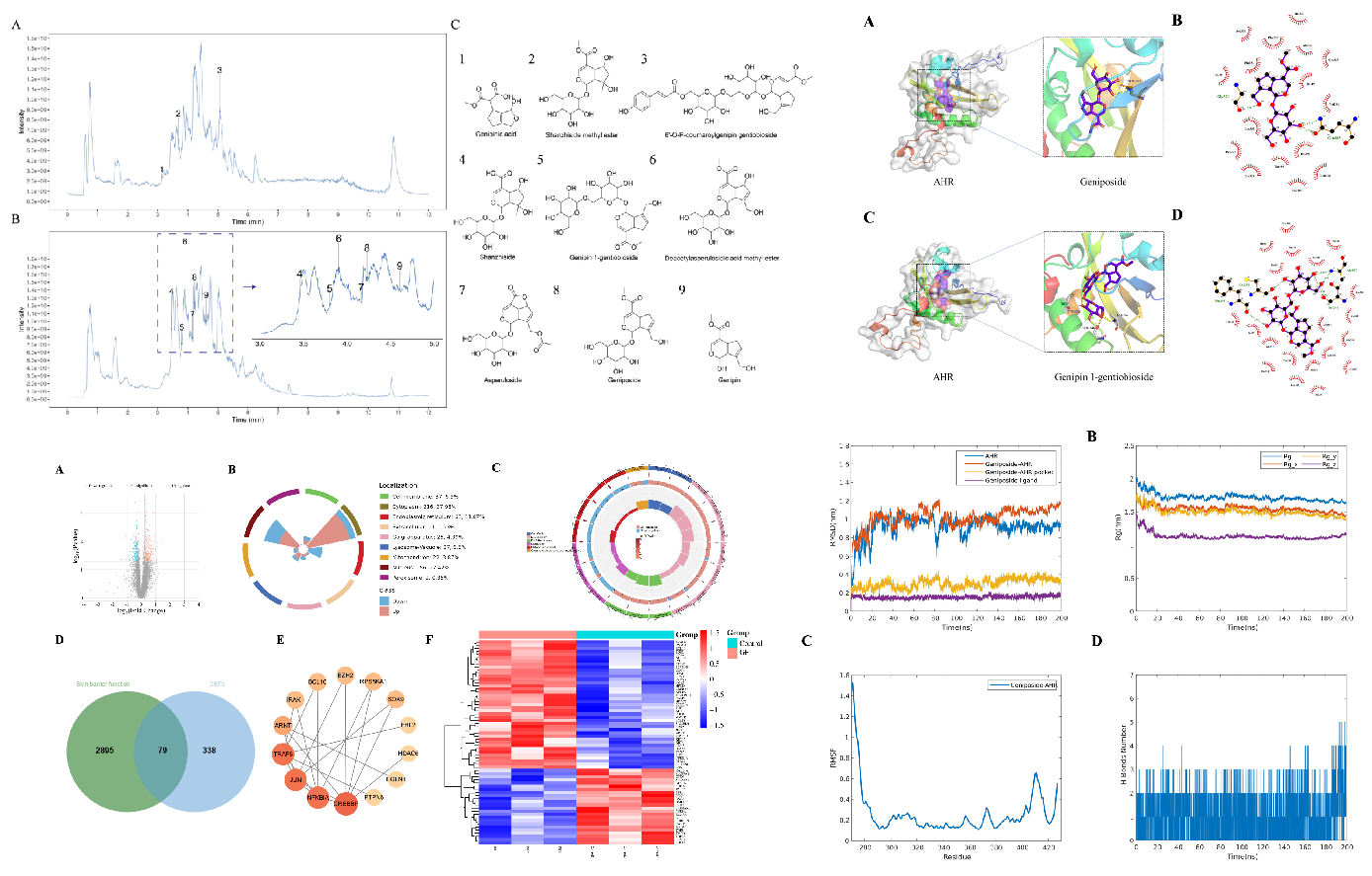 SCI期刊,科新生物,君裕集團,梔子提取物,增強,表皮屏障機制
